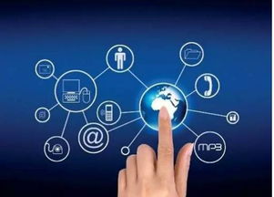 8月，佛山人的心弦被拨动 互联网信息服务的温情与考验